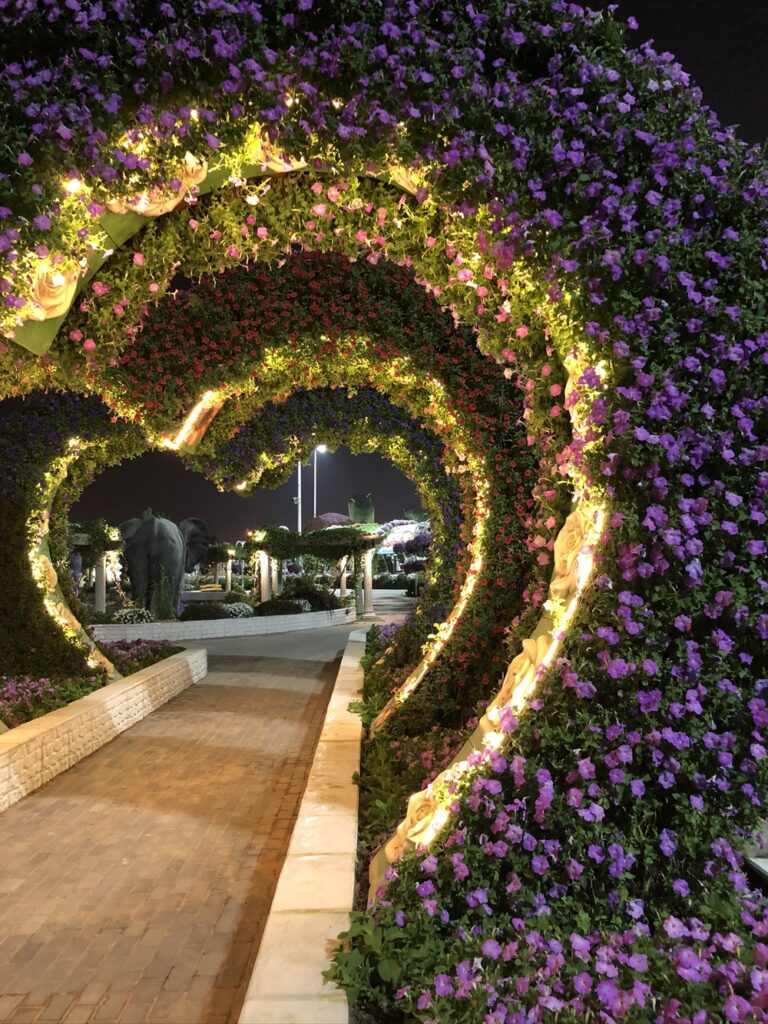 Dubai Miracle Garden at night